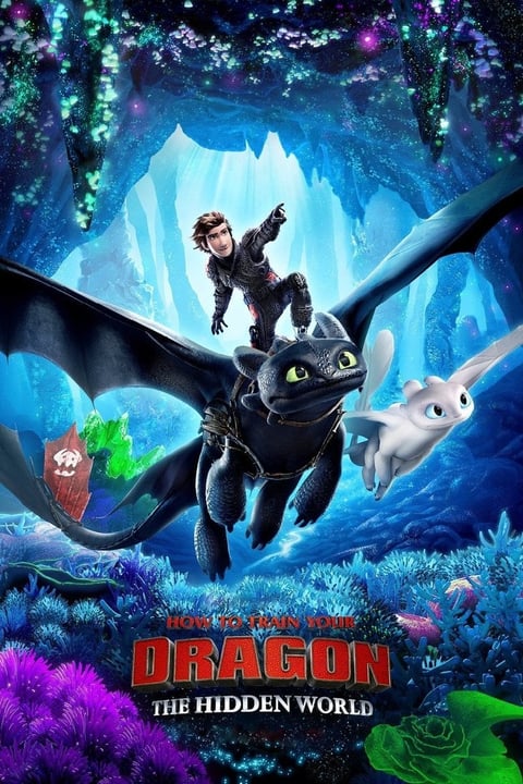 Movie poster for How to Train Your Dragon: The Hidden World showing a rider on a black dragon